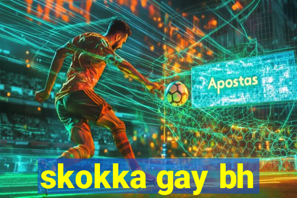 skokka gay bh